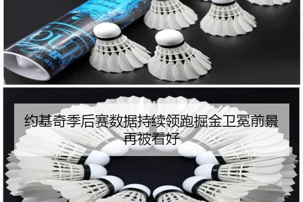 约基奇季后赛数据持续领跑掘金卫冕前景再被看好