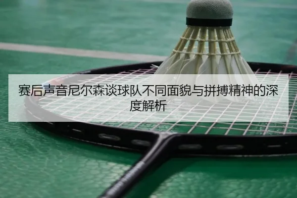 赛后声音尼尔森谈球队不同面貌与拼搏精神的深度解析