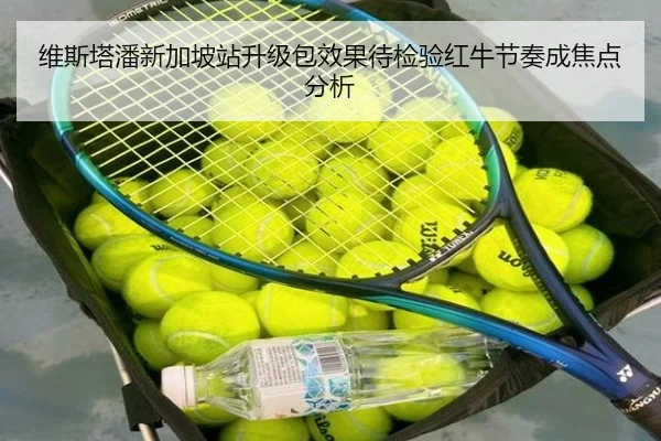 维斯塔潘新加坡站升级包效果待检验红牛节奏成焦点分析